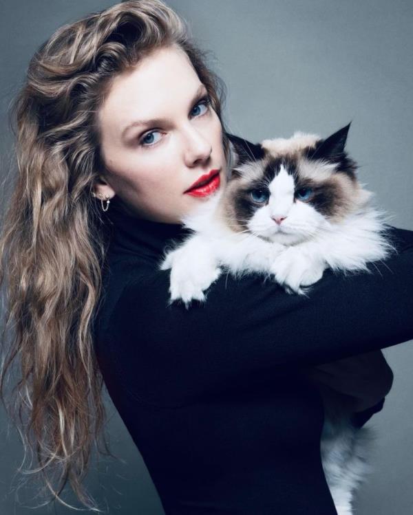 Swift posted this photo to her endorsement, signing off as a "childless cat lady."