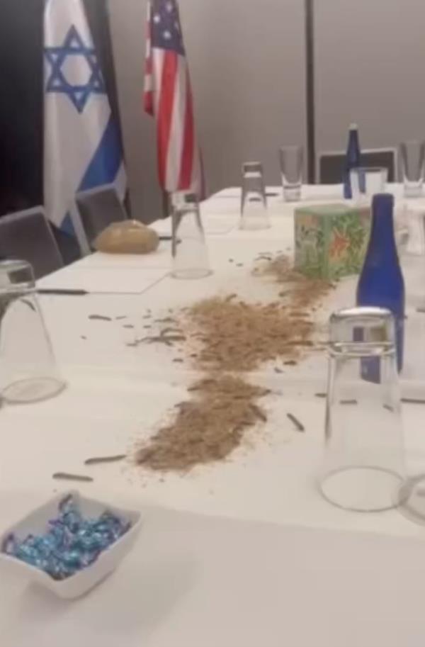A video posted to the Palestinian Youth Movement Instagram account Wednesday, July 24, 2024, reportedly shows maggots and crickets released throughout the Watergate Hotel where Israeli Prime MInister Benjamin Netanyahu is staying.