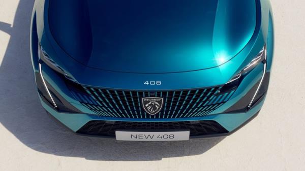 标致408格栅