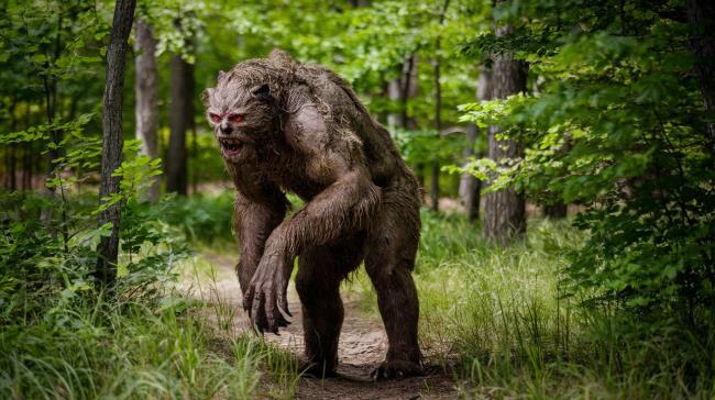 37-facts-a<em></em>bout-beast-of-bray-road