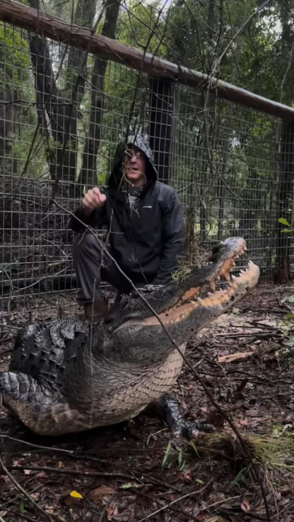 Gillette with a gator.