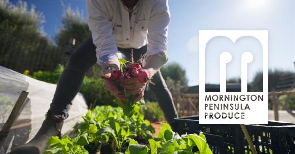 MP Produce banner.jpg