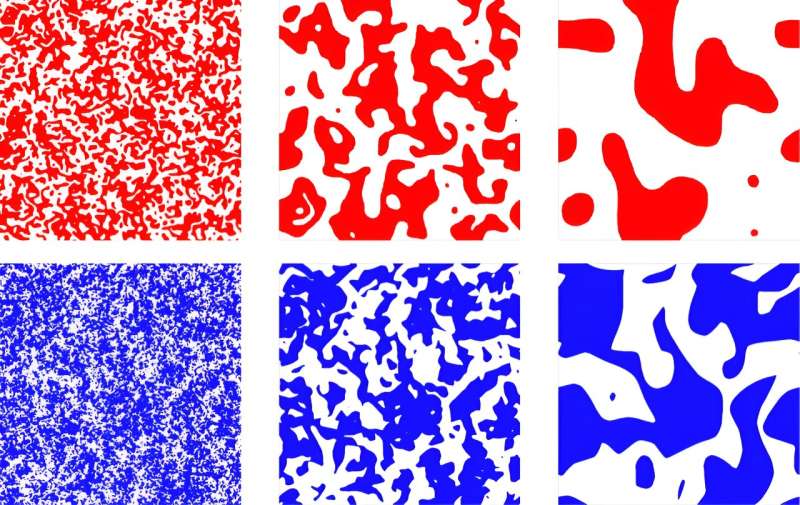 Investigating the Ising model with magnetisation