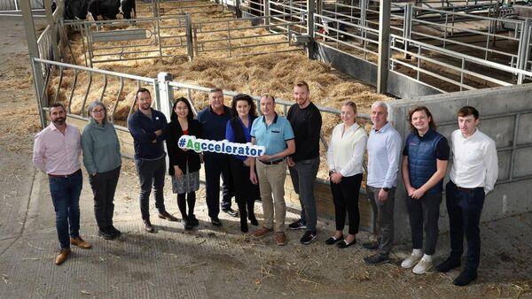 Why Irish dairy farmers are the envy of the rest of Europe