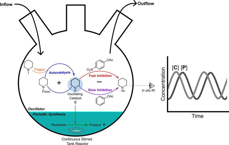 The first organic oscillator that makes catalysis swing
