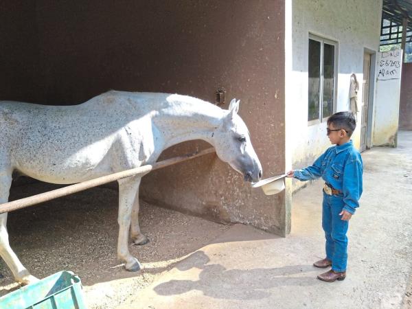 Nek Aryan describes Prince as a naughty horse.