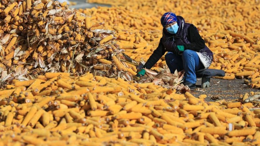 More Kazakh agricultural exporters complain of issues with transit to Russia