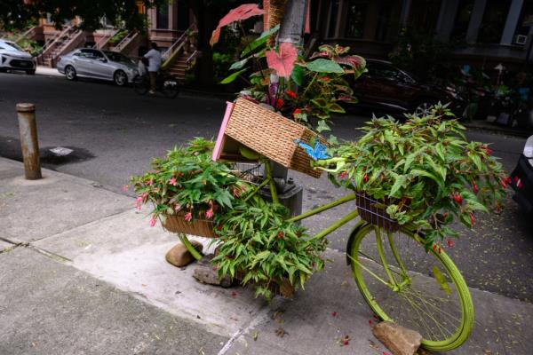 Bike on the street covered in plants
