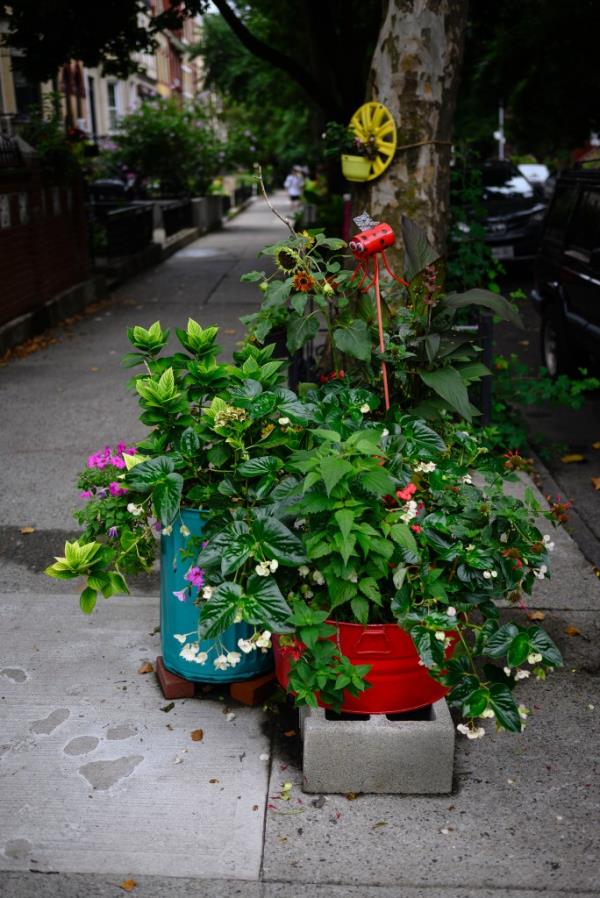 Planters on the street