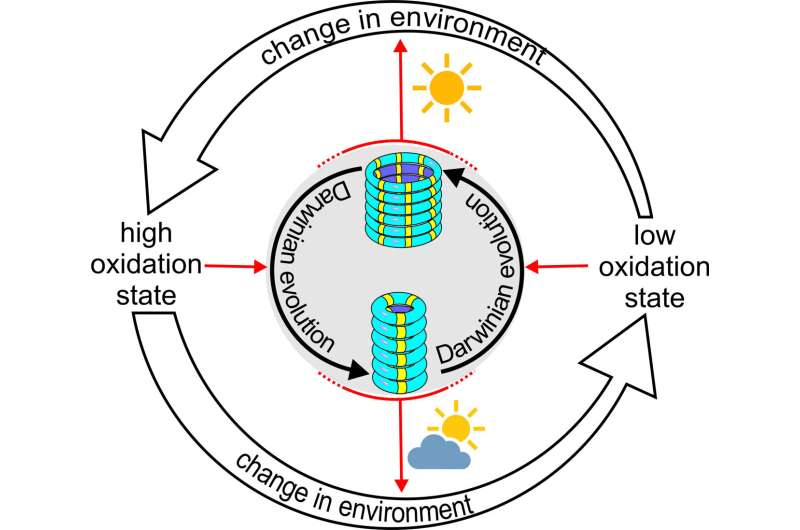 Evolving chemical system changes its environment