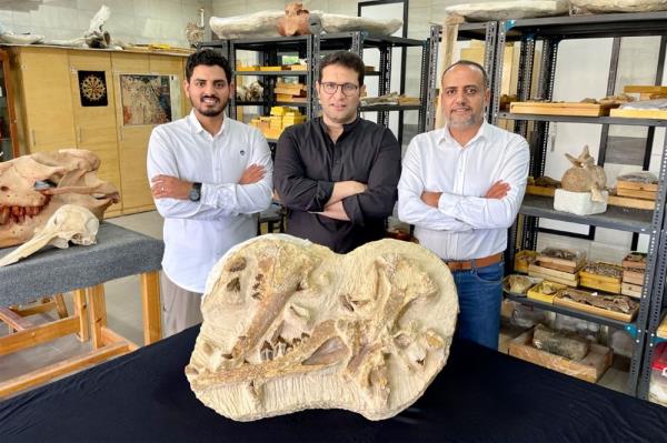 埃及挖掘出4100万年前的鲸鱼化石