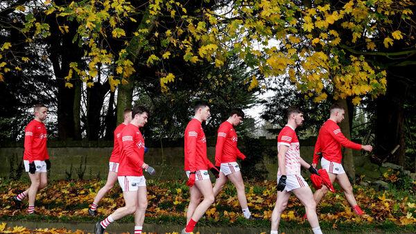 'We can go to New York next year' - O'Sullivan happy to prioritise Dingle's Munster tilt