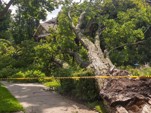 “The incident was shocking and traumatic. (We) feared for our lives,” Philip and Amberlynn Harbut said in a lawsuit they filed in B.C. Supreme Court in which they are suing their neighbours for damages.