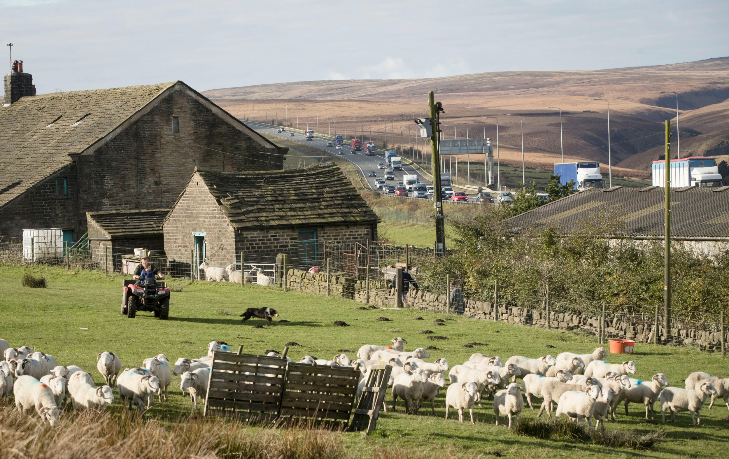 Stott Hill Farm