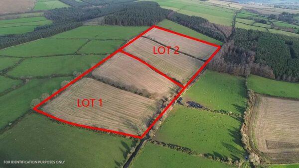 Good interest in 33-acre Wicklow farm for pre-Christmas auction