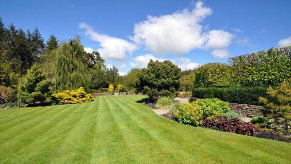 Peter Dowdall: How to take care of your lawn in autumn