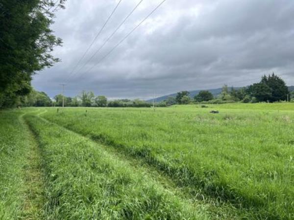 103-acre farm on the Suir guiding at €24k an acre