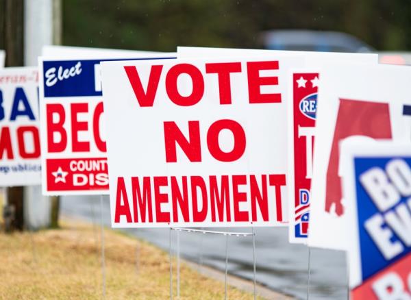 With a high-stakes presidential election less than three months away, voters are expressing their enthusiasm for Team Trump or Team Harris with political signs and flags in their front yards.
