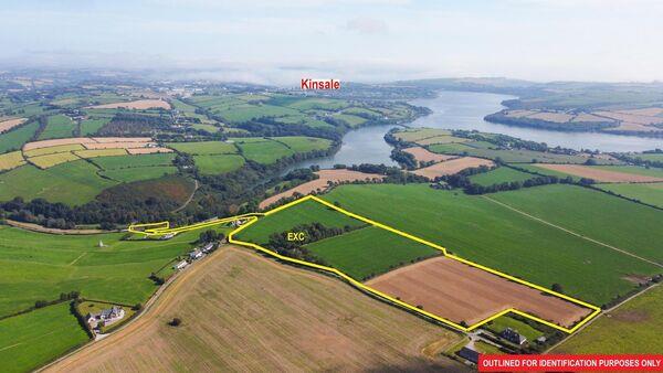 Land near Kinsale makes over €38,000/acre at auction