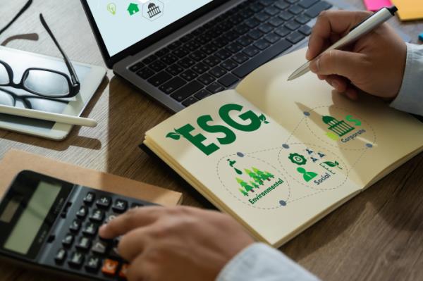 ESG报告（图片来源：Getty Images）