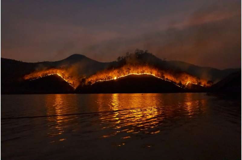 bushfire
