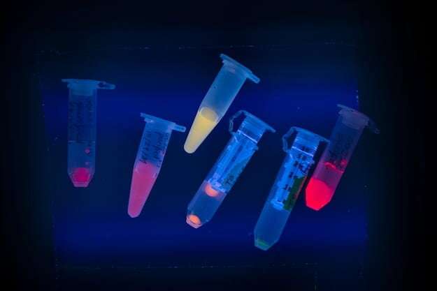 Machine learning enables discovery of DNA-stabilized silver nanoclusters