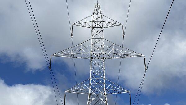 ESB to issue gift cards to the public as incentive to 'beat the peak' 