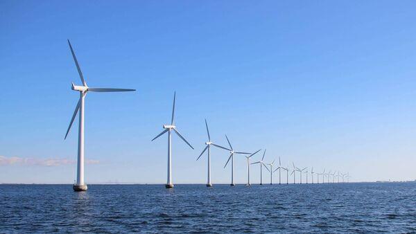 Offshore data company Green Rebel says it will create 75 new jobs 