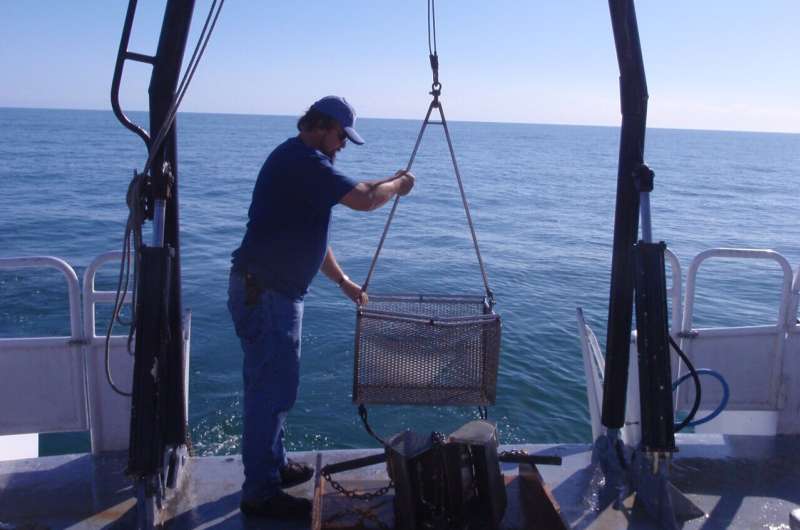 Marine fossils are a reliable benchmark for degrading and collapsing ecosystems