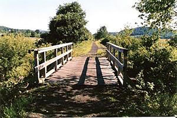 A wooden bridge along a walking and bike path surrounded by bushes and trees.