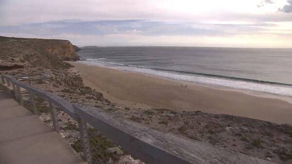 Teenage surfer dies after shark attack off South Australia