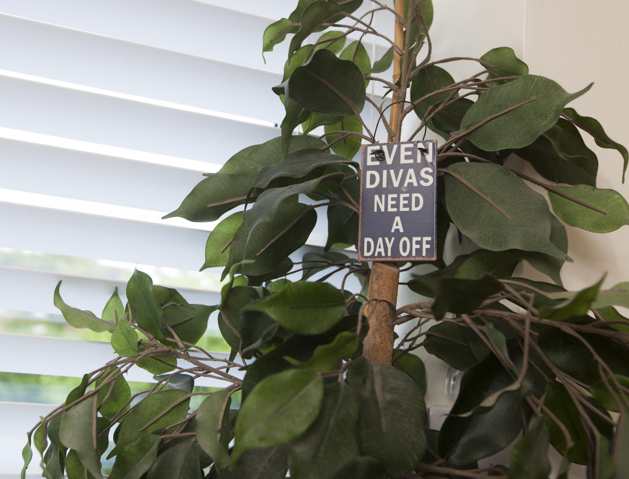 Gill Ross and her apartment in Bagshot, Surrey are the subject of a What I Own feature. Even Divas Need a Day Off - on a plant in the kitchen.