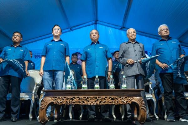 Stumping for Perikatan, Dr Mahathir claims Johor will shrink to size of Perlis if Pakatan stays in power