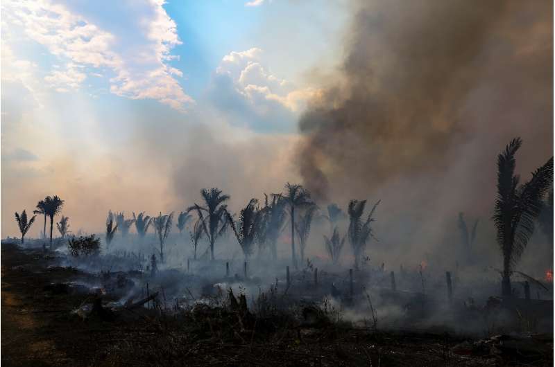 Deforestation in the Brazilian Amazon decreased 66 percent in July 2023 compared to the same period last year, reaching the lowe