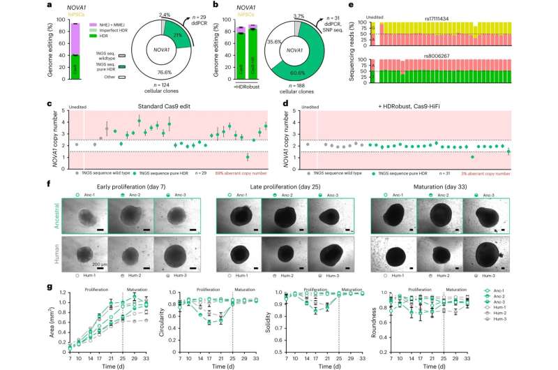 Increased efficiency, precision and reliability in DNA editing