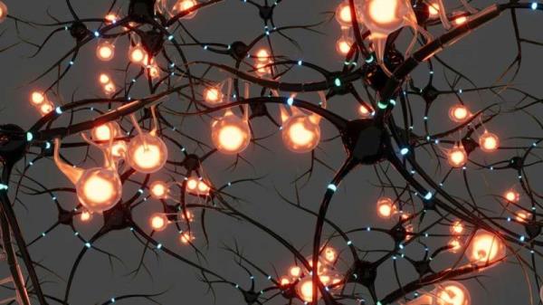 neuroscience
