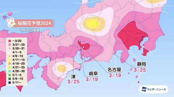 Screenshot-2024-01-12-at-10.34.42.png