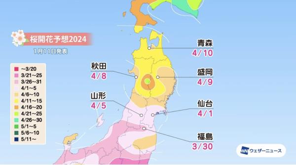 Screenshot-2024-01-12-at-10.35.54.png