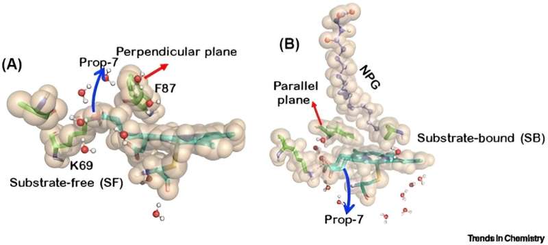 Discovery in nanomachines within living organisms - cytochromes P450 (CYP450s) unleashed as living soft robots