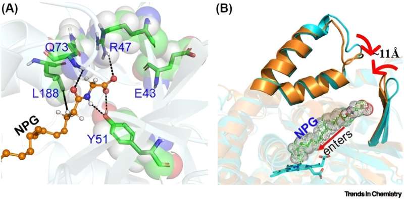 Discovery in nanomachines within living organisms - cytochromes P450 (CYP450s) unleashed as living soft robots