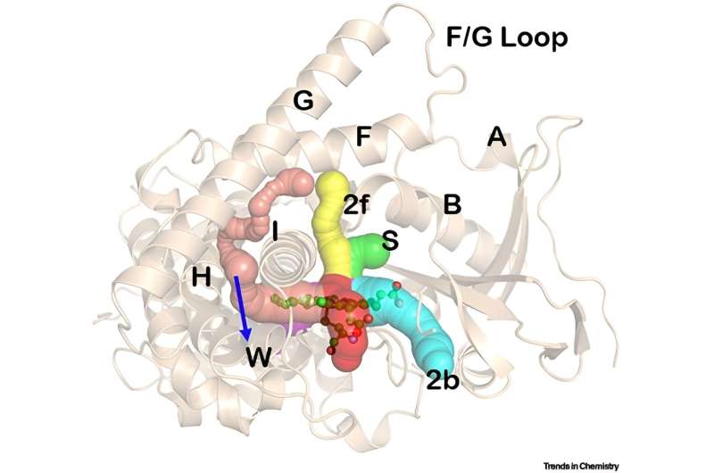 Discovery in nanomachines within living organisms - cytochromes P450 (CYP450s) unleashed as living soft robots