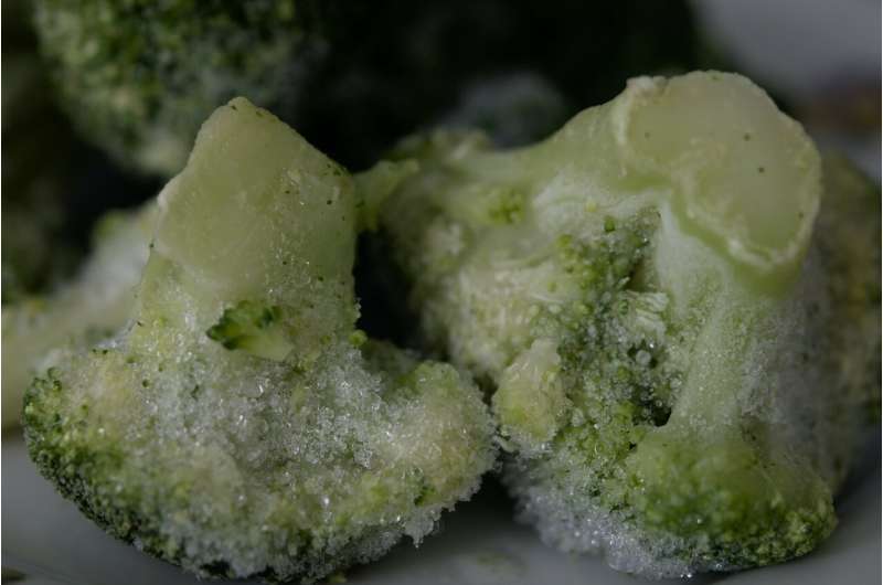 frozen food