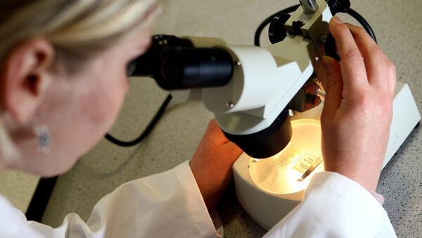 Better use of existing drugs increases cervical cancer survival, study suggests
