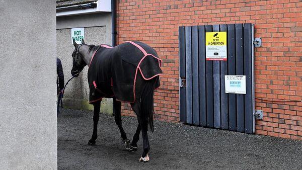 'Completely and utterly unacceptable' delay in IHRB finance probe