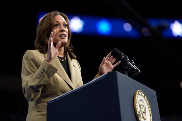 Democratic presidential nominee Vice President Kamala Harris speaks at a campaign rally at Desert Diamond Arena, Friday, Aug. 9, 2024, in Glendale, Ariz. (AP Photo/Julia Nikhinson)