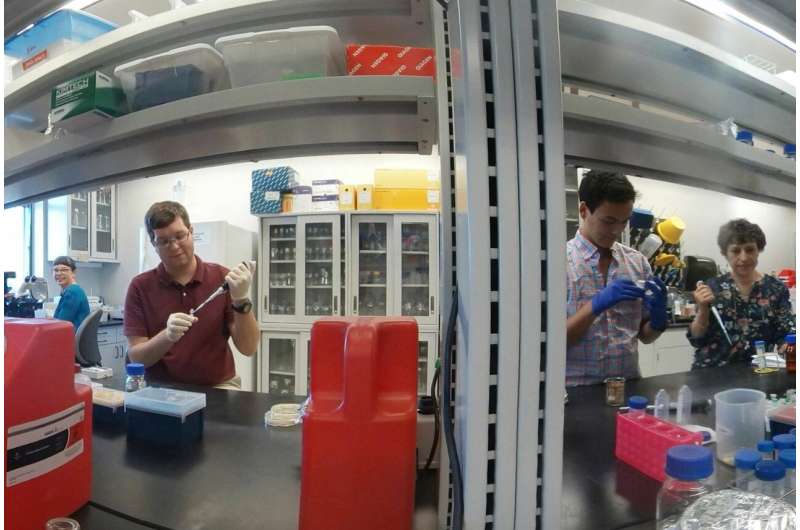 Scientists study how a diabetes drug affects soils