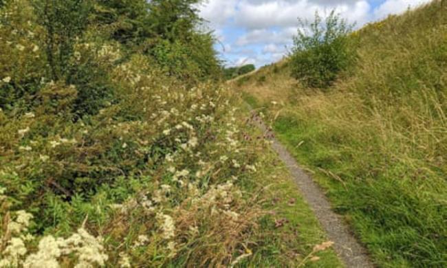 The deep, sheltered railway cutting, home to butterflies today.