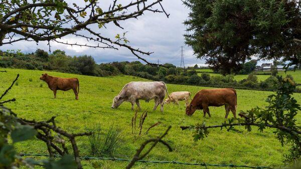 Tranche two of ACRES opens for applications