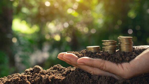 Budget 2024: Key measures for farmers in this year's round-up