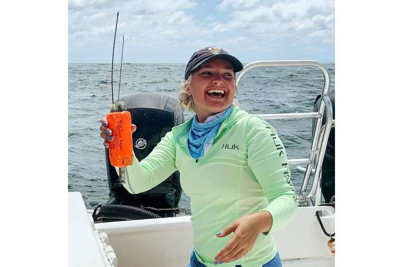 Tracking the great hammerhead shark's every move